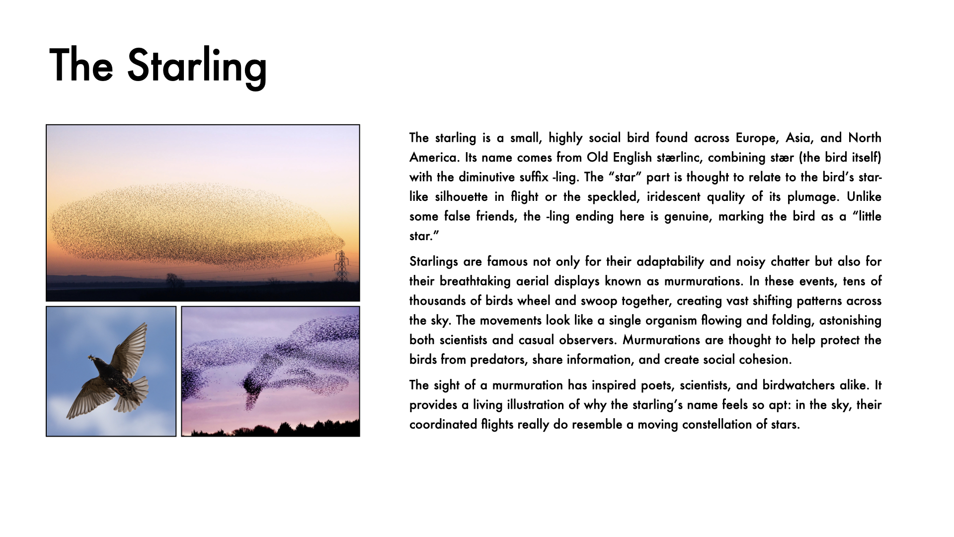 Week 2 Page 7